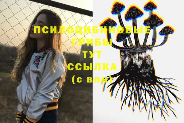 ешки Алексеевка