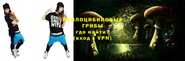 ешки Алексеевка