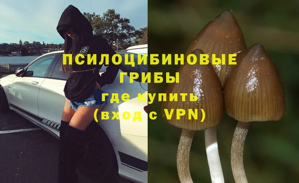 СК Алзамай