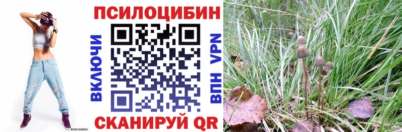 Псилоцибиновые грибы Psilocybine cubensis  Анадырь 