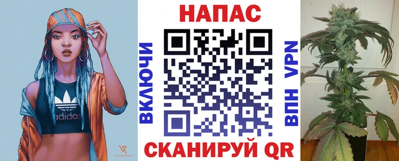 магазин    Анадырь  Канабис гибрид 
